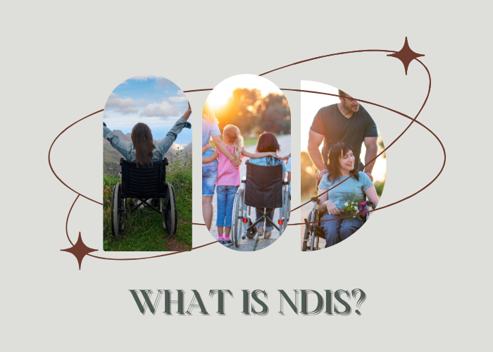 What is the NDIS?